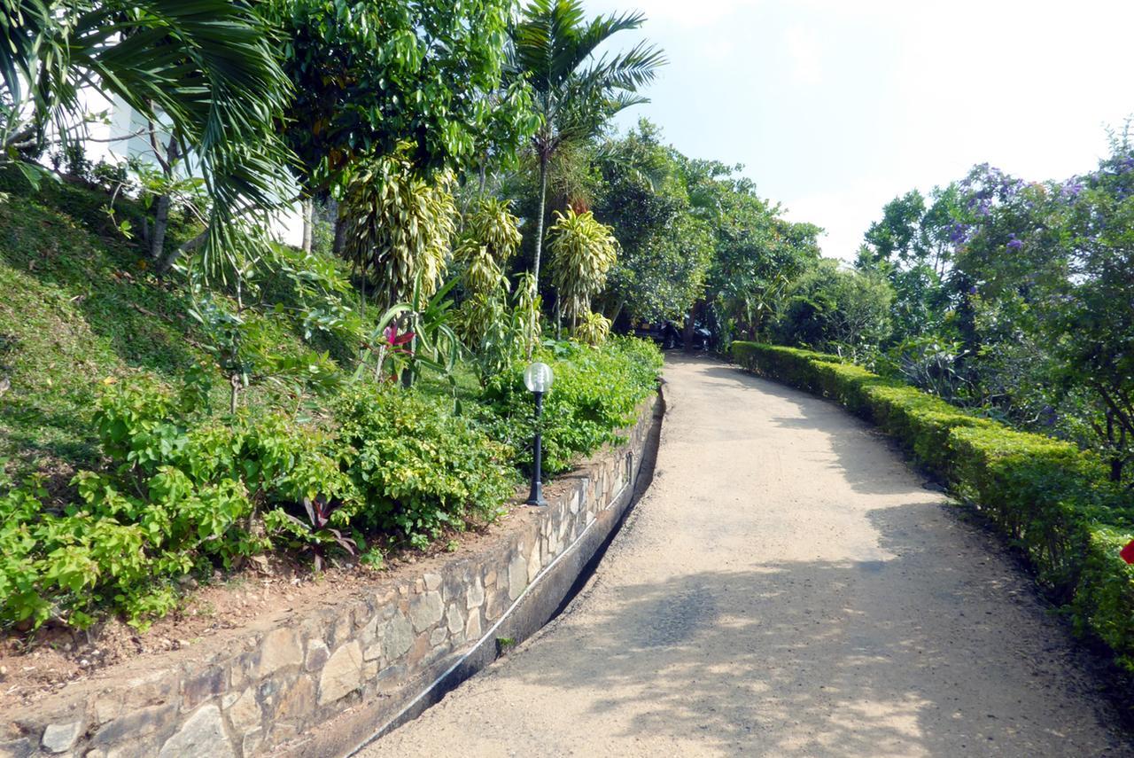 390 Villa Vistaキャンディー エクステリア 写真
